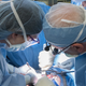 Illustration for article titled Hospital Announces That the First Uterus Transplant in the US Is a Failure